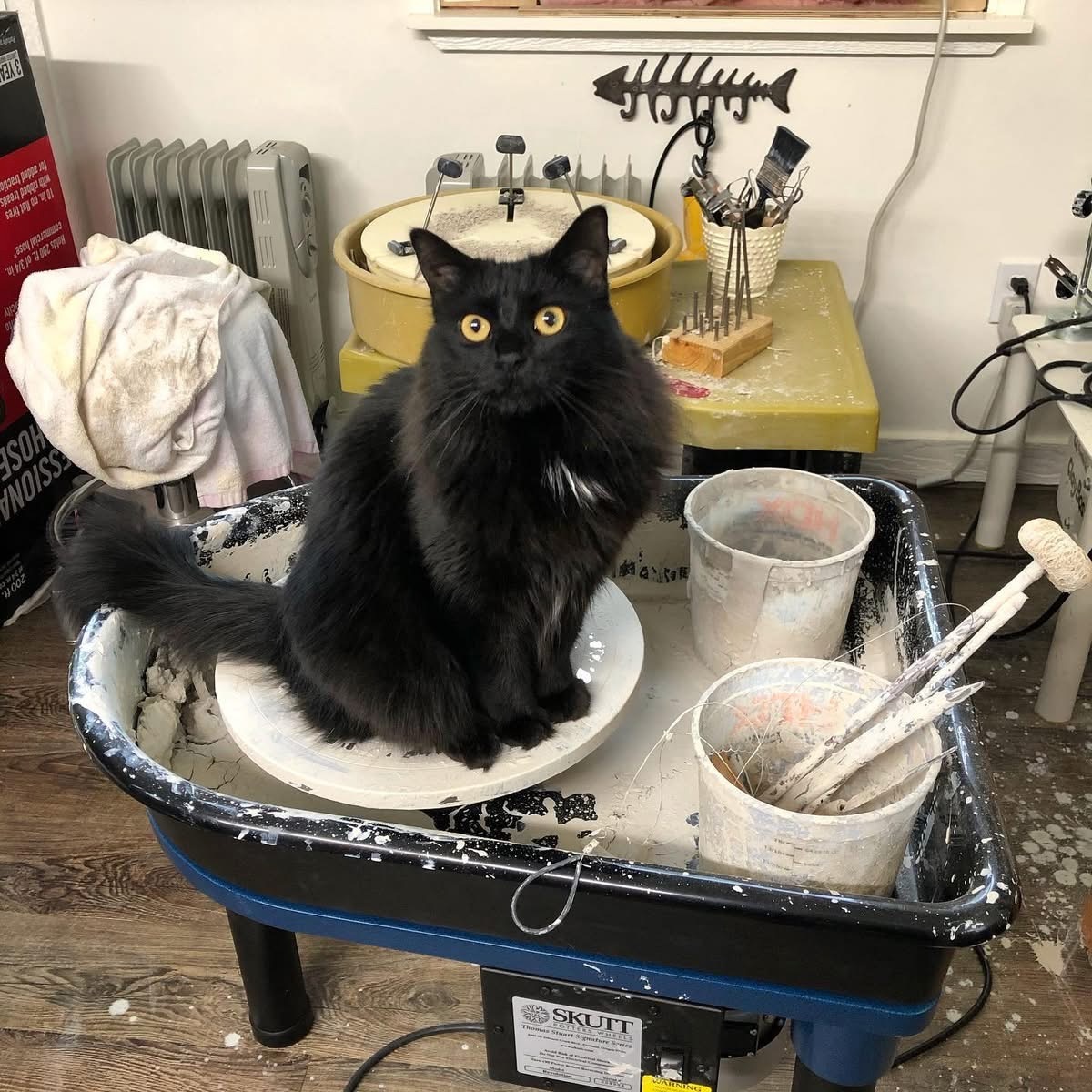 Pottery by Vessels by Shawn