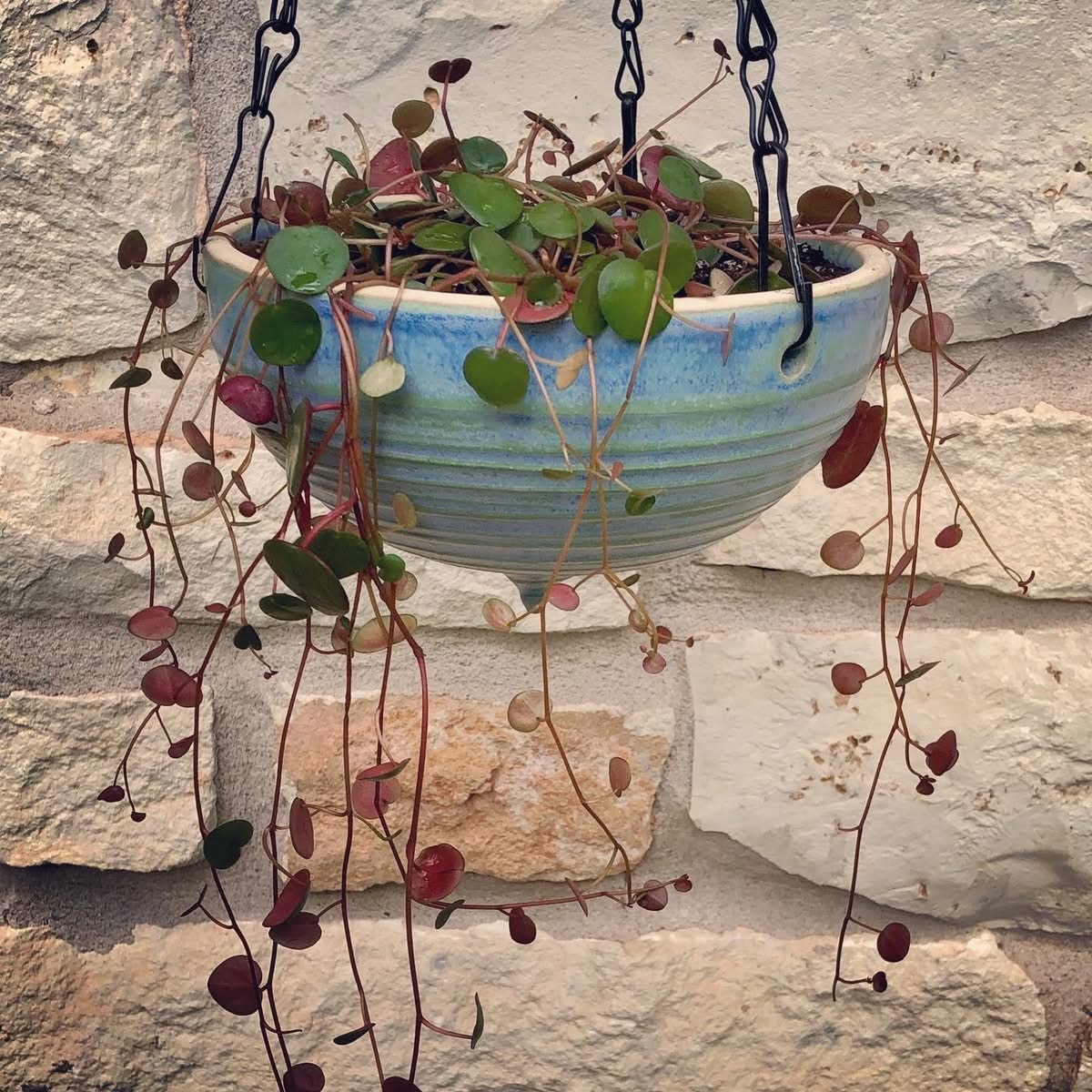 Pottery by Vessels by Shawn