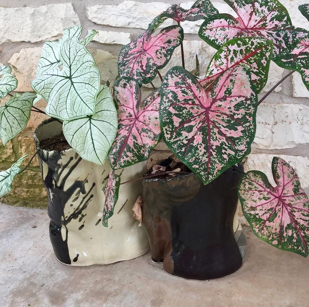 Pottery by Vessels by Shawn